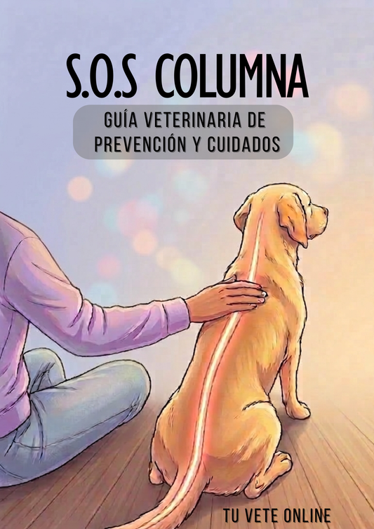 S.O.S COLUMNA, Guía veterinaria de prevención y cuidados